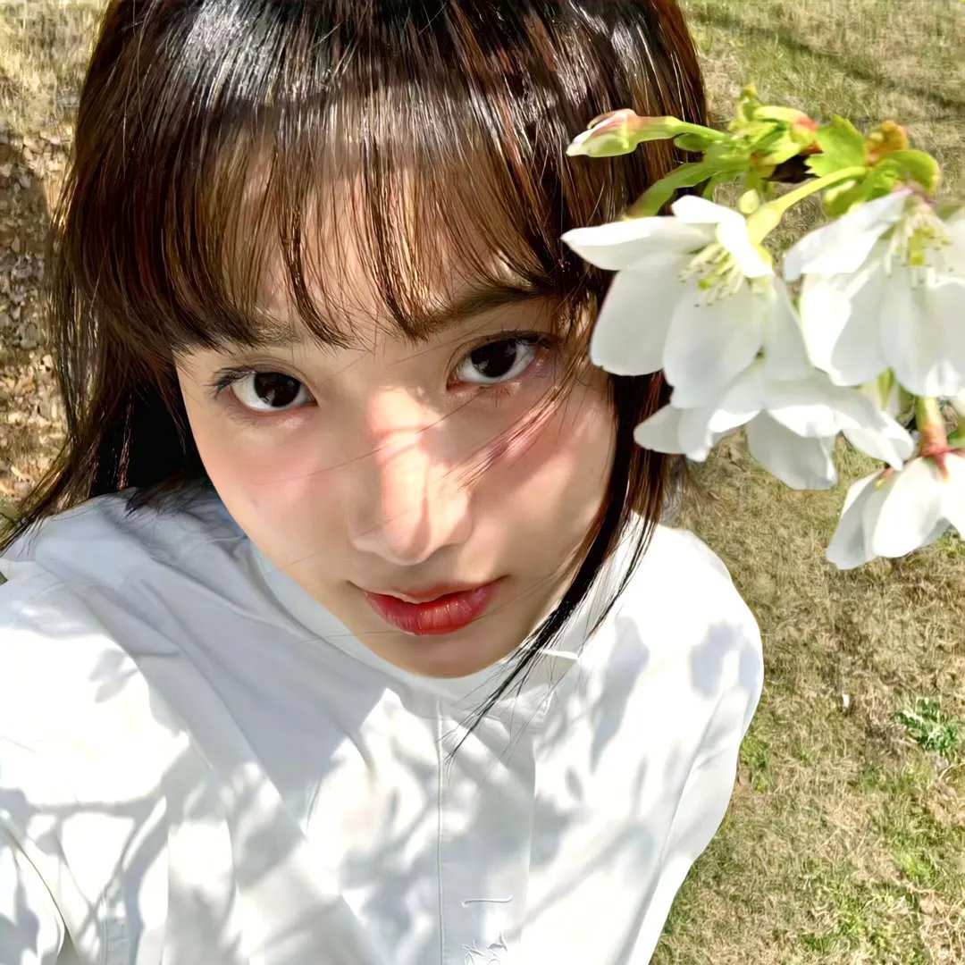 彩虹飞仙