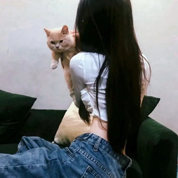 春梦 春梦